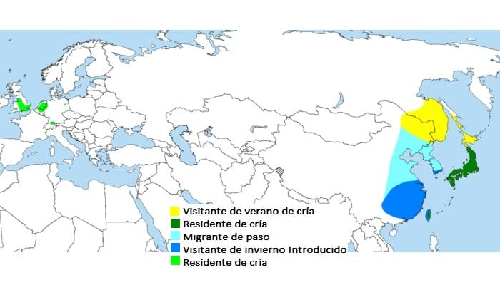 Distribución del Pato Mandarín (Aix galericulata)