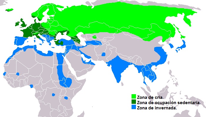 Distribución de la Cerceta Euroasiática (Anas crecca)